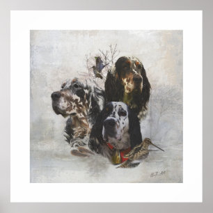 English Setter , woodcock hunting  Poster