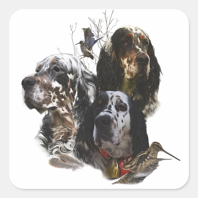 English Setter , woodcock hunting  Square Sticker (Front)