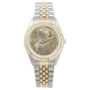 English Setter , woodcock hunting Watch