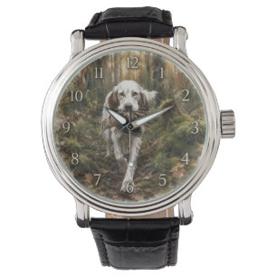 English Setter , woodcock hunting Watch