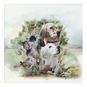 English Setters Acrylic Print