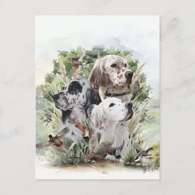 English Setters  Invitation Postcard (Front)