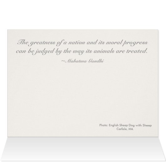 English Sheep Dog (Inside Horizontal (Top))