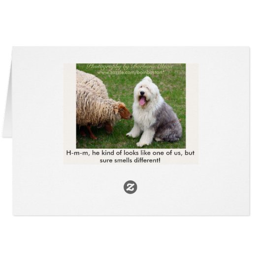 English Sheep Dog (Back Horizontal)