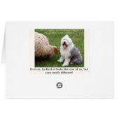 English Sheep Dog Cards (Back Horizontal)