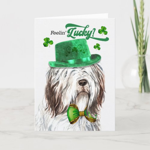 English Sheepdog Feelin Lucky St Patricks Day Holiday Card