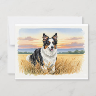 English Shepherd in a Field of Wheat Postcard