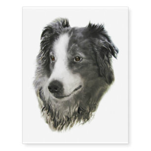 English Shepherd Temporary Tattoos