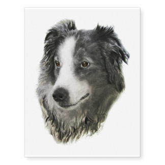 English Shepherd Temporary Tattoos