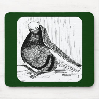 English Shortfaced Pigeon Bald 1978 Mouse Pad