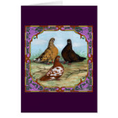 English Shortfaced Pigeons Framed (Front)