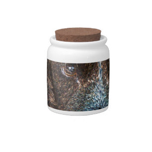 English Springer Candy Jar