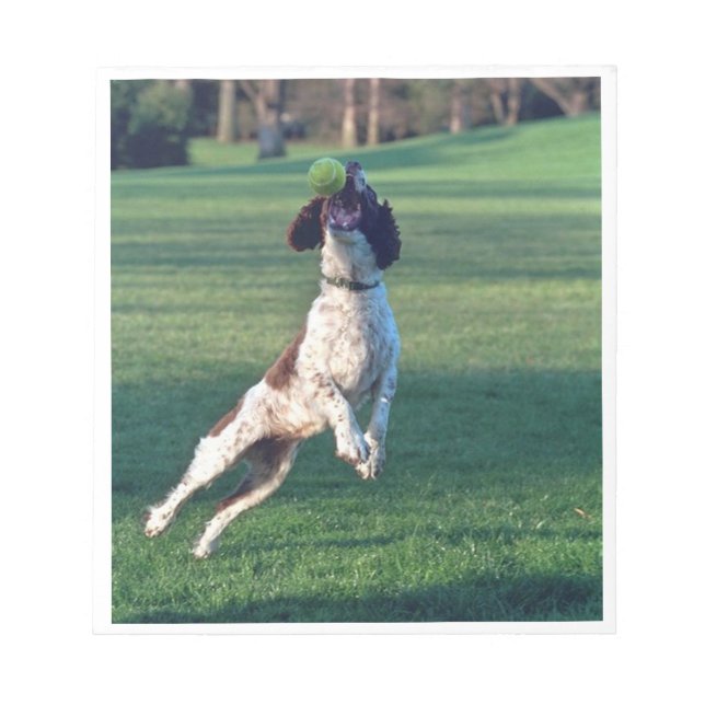 english springer catching ball.png notepad (Front)