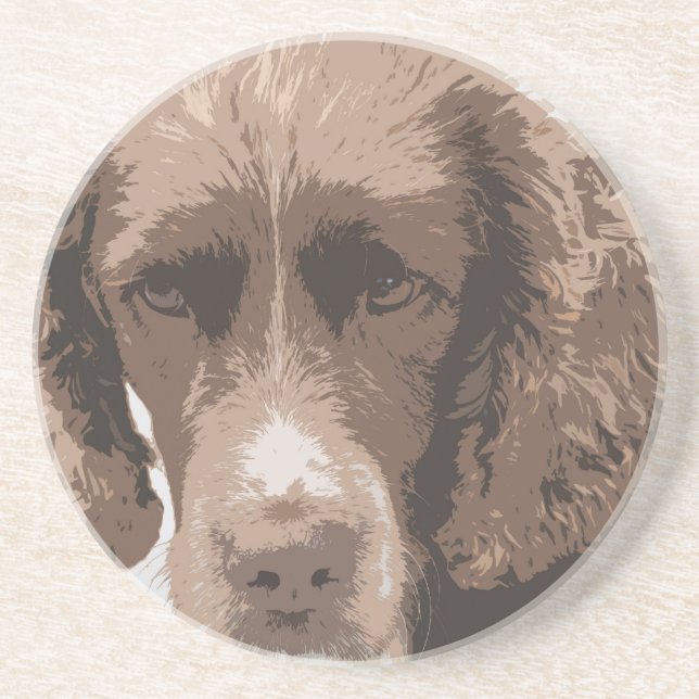 English Springer Coaster (Front)