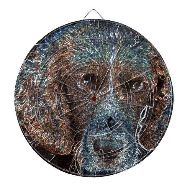 English Springer Dartboard With Darts (Front)