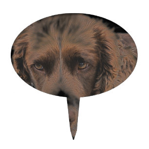 English Springer Dogs Cake Topper