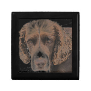 English Springer Dogs Keepsake Box