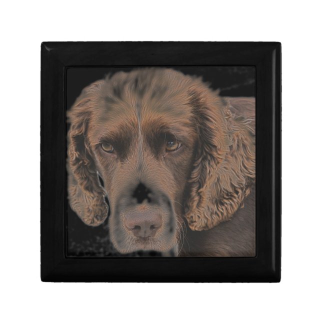 English Springer Dogs Keepsake Box (Front)