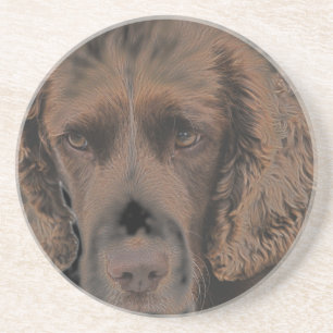 English Springer Dogs Sandstone Coaster