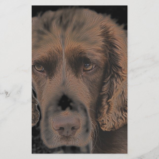 English Springer Dogs Stationery (Front)