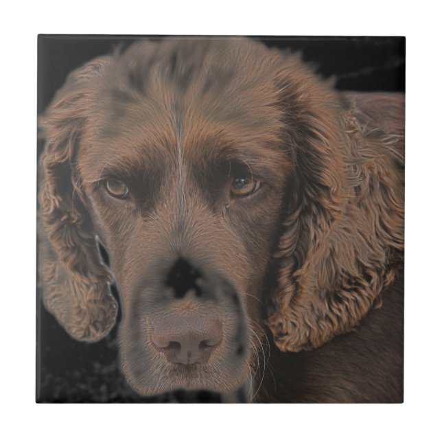 English Springer Dogs Tile (Front)