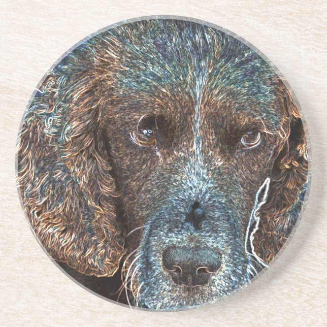 English Springer Drink Coaster (Front)