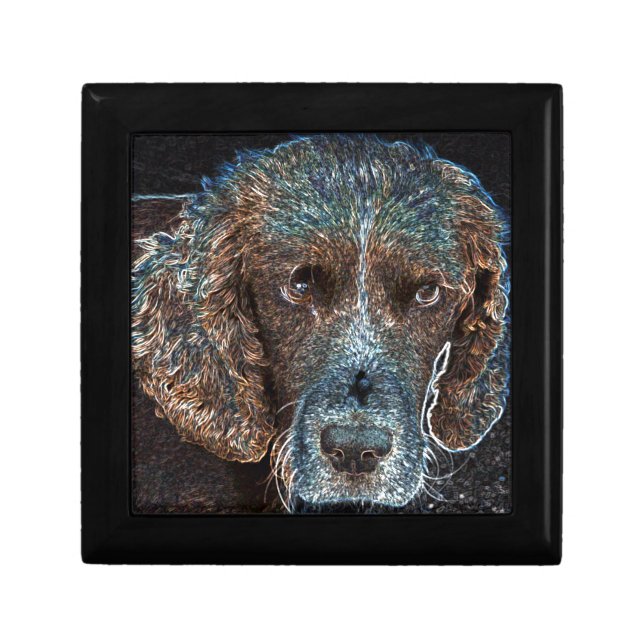 English Springer Keepsake Box (Front)