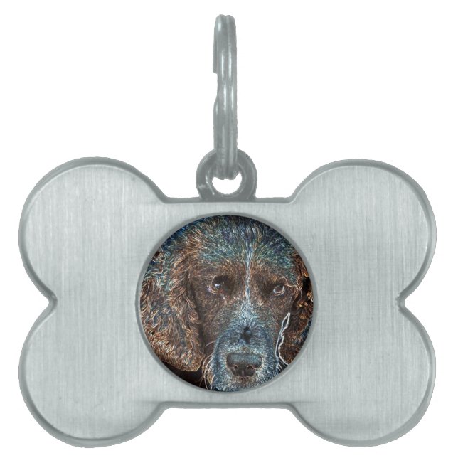 English Springer Pet ID Tag (Front)