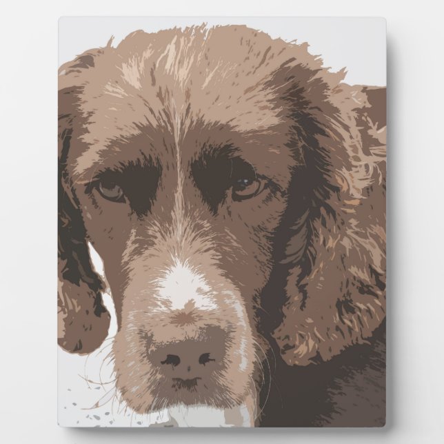 English Springer Plaque (Front)
