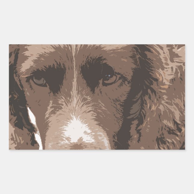 English Springer Rectangular Sticker (Front)