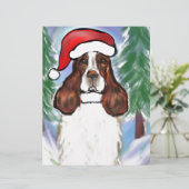 ENGLISH SPRINGER SPANIEL (Standing Front)