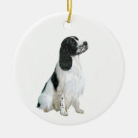 English Springer Spaniel (A) - black and white