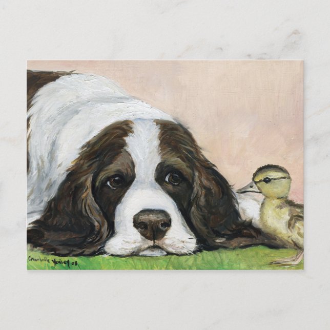 English Springer Spaniel and Duckling Art Postcard (Front)