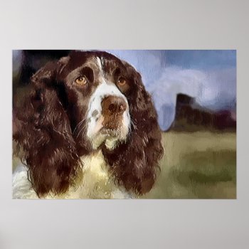 English Springer Spaniel Art Prints Gifts by DogsByDezign at Zazzle