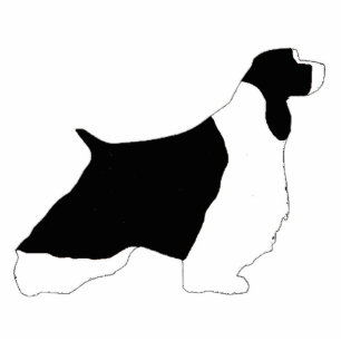 English Springer Spaniel black white silo Cutout