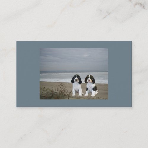 English Springer Spaniel Breeder Business Card