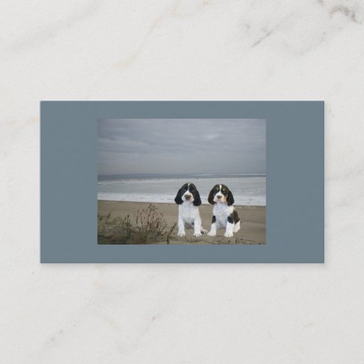 Customizable English Springer Spaniel Breeder Business Card
