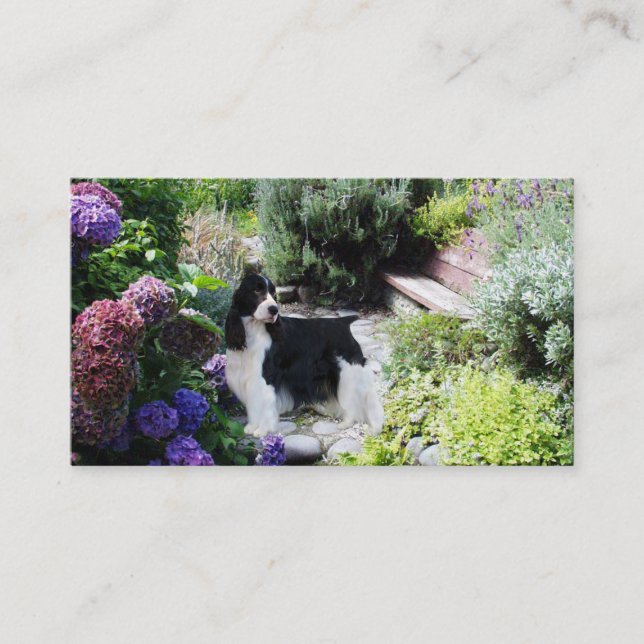 English Springer Spaniel Breeder Business Card (Front)