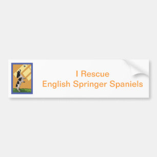 English Springer Spaniel Bumper Sticker
