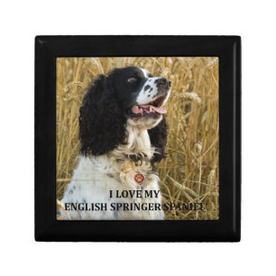 english springer spaniel bwlove w pic gift box