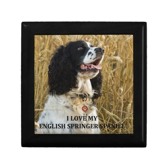 english springer spaniel bwlove w pic gift box (Front)