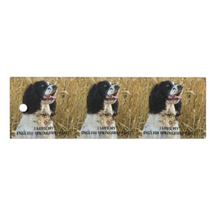 english springer spaniel bwlove w pic ruler