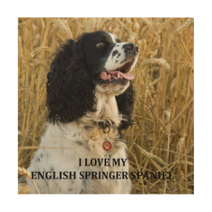 english springer spaniel bwlove w pic wood wall art