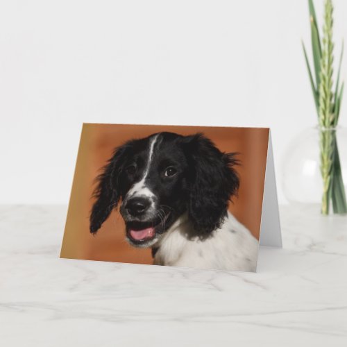 English Springer Spaniel Card