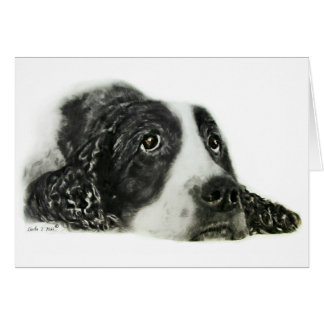 English Springer Spaniel Cards