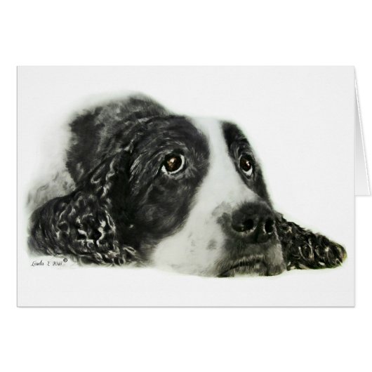 English Springer Spaniel Cards (Front Horizontal)