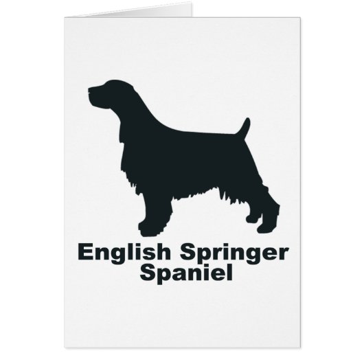 English Springer Spaniel Cards (Front)