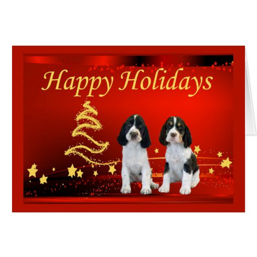 English Springer Spaniel Christmas Card Stars | Zazzle