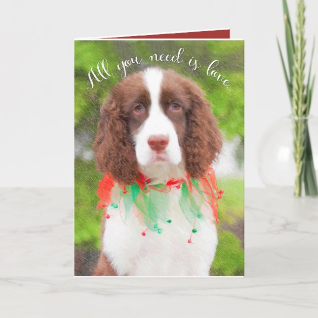 English Springer Spaniel Christmas Cards (Front)