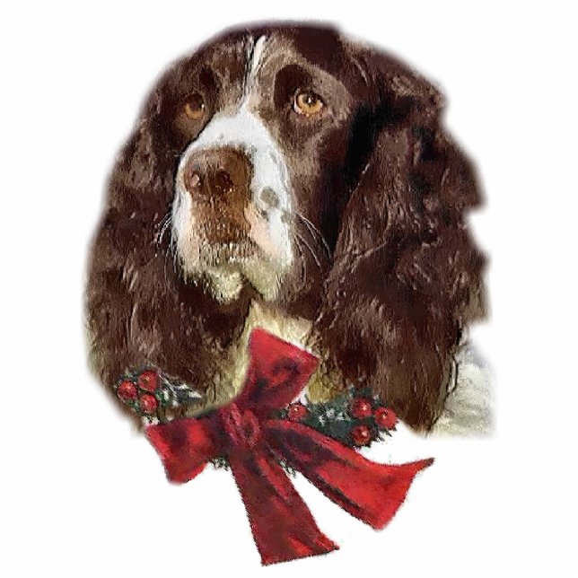 English Springer Spaniel Christmas Gifts Ornament (Front)